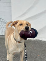 BB Coffee Cup Dog Toy