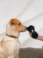 BB Coffee Cup Dog Toy